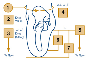 Prosthetic Measurements