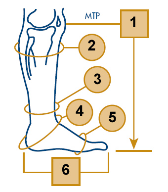 Prosthetic Measurements